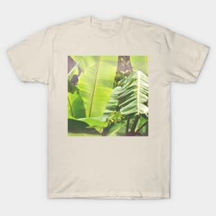 Banana Leaf Reverie T-Shirt